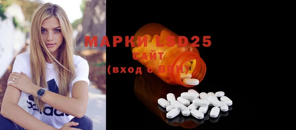 трава Наволоки