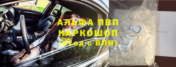 ПСИЛОЦИБИНОВЫЕ ГРИБЫ Ачинск