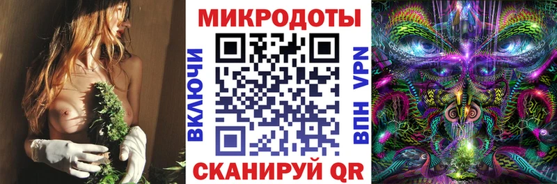 Псилоцибиновые грибы GOLDEN TEACHER  как найти закладки  Эртиль 
